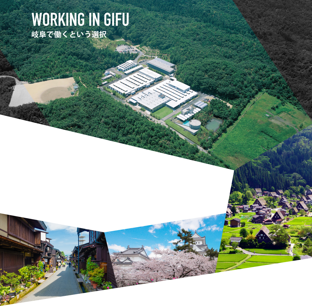 WORKING IN GIFU 岐阜で働くという選択